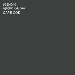 #3E4040 - Cape Cod Color Image